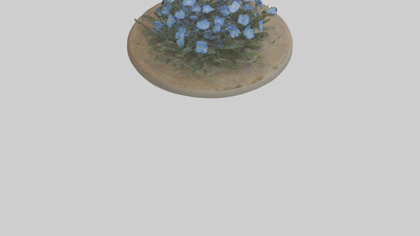 Forgetmenot model 3D model
