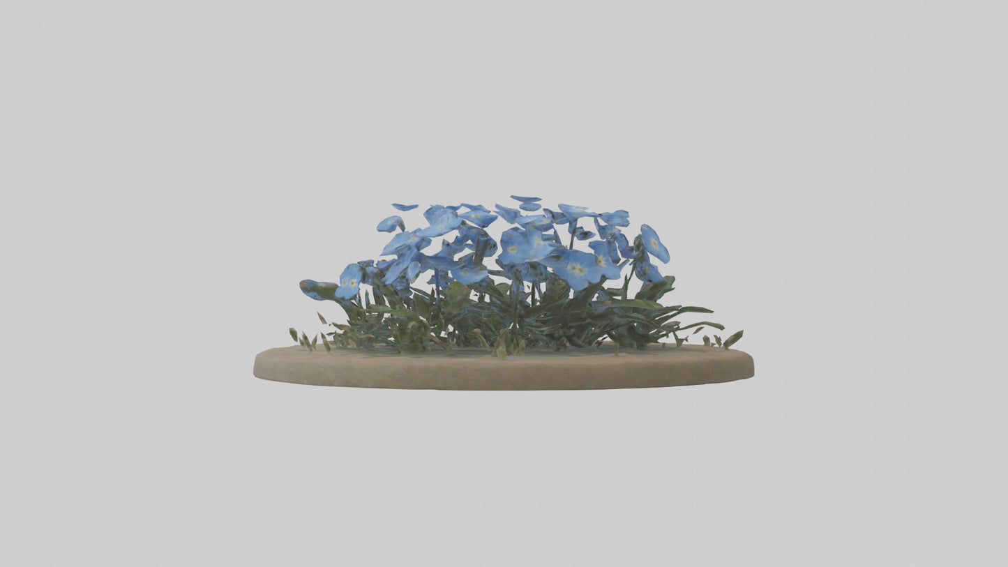 Forgetmenot model 3D model