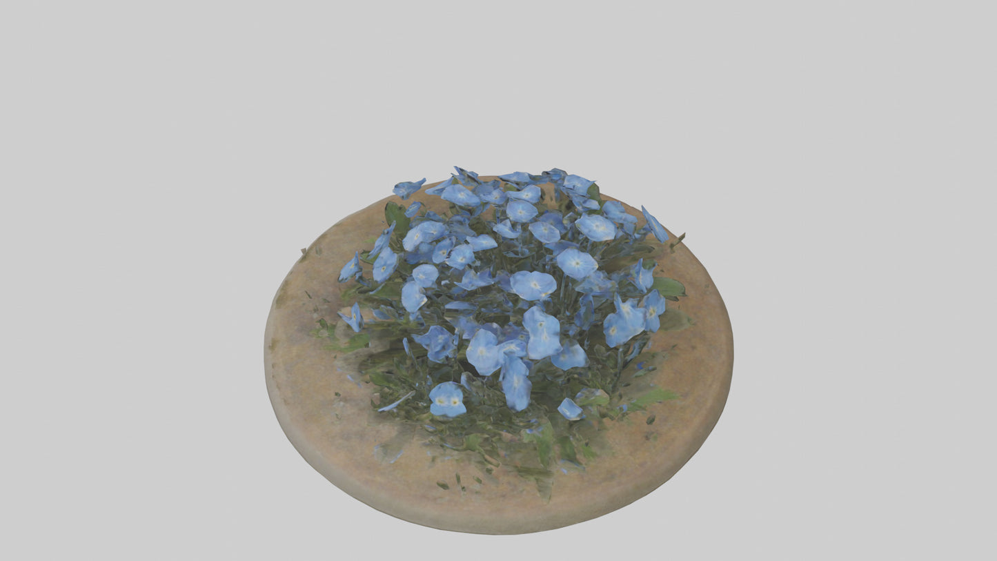 Forgetmenot model 3D model