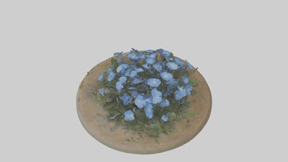 Forgetmenot model 3D model