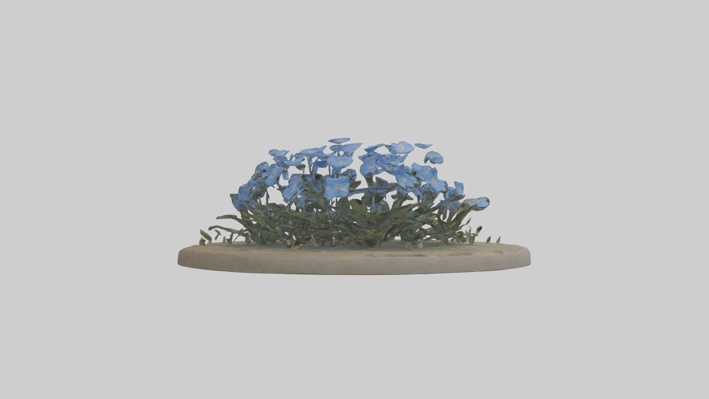 Forgetmenot model 3D model