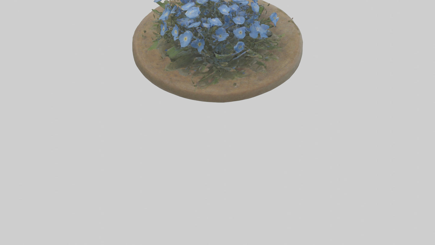 Forgetmenot model 3D model