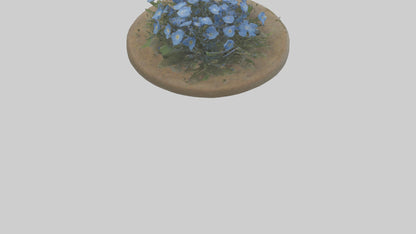 Forgetmenot model 3D model