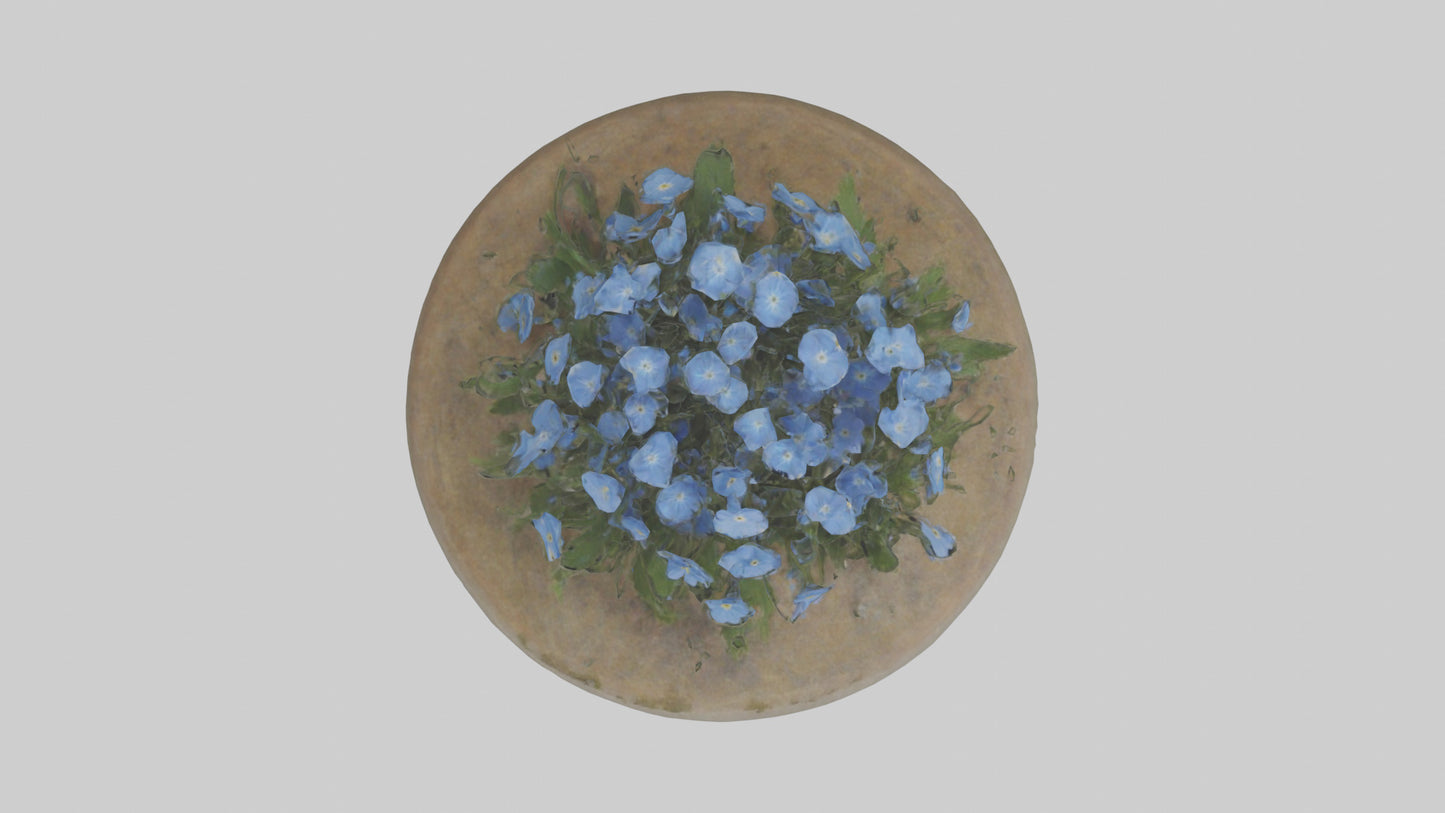 Forgetmenot model 3D model