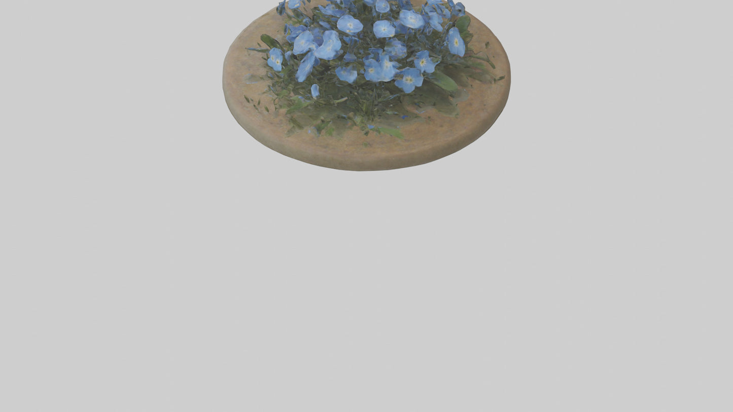 Forgetmenot model 3D model