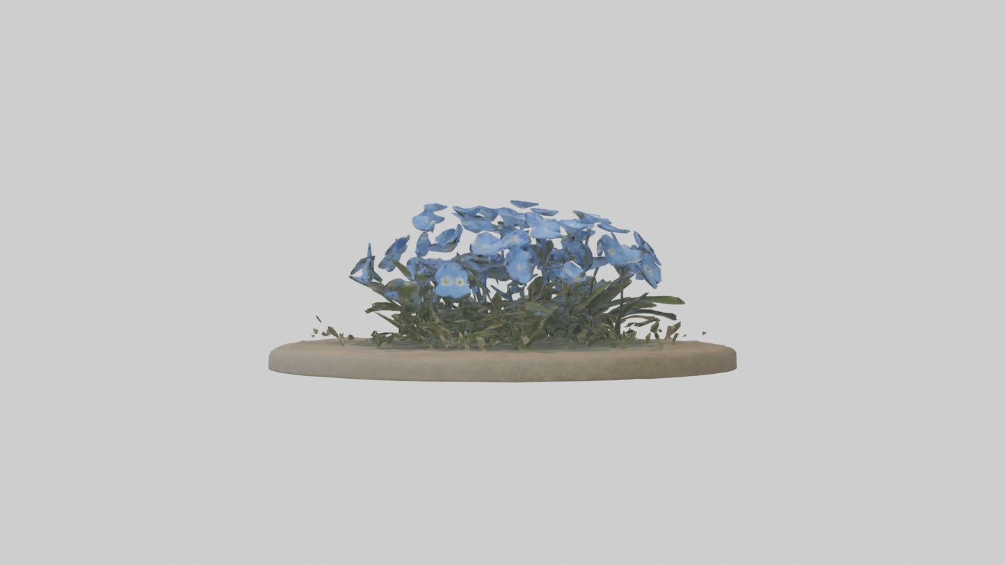 Forgetmenot model 3D model
