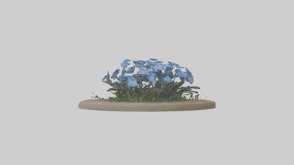 Forgetmenot model 3D model