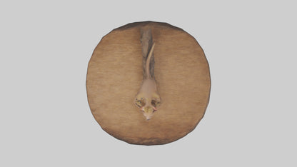 3D model Fossa climbing tree model VR / AR / low-poly