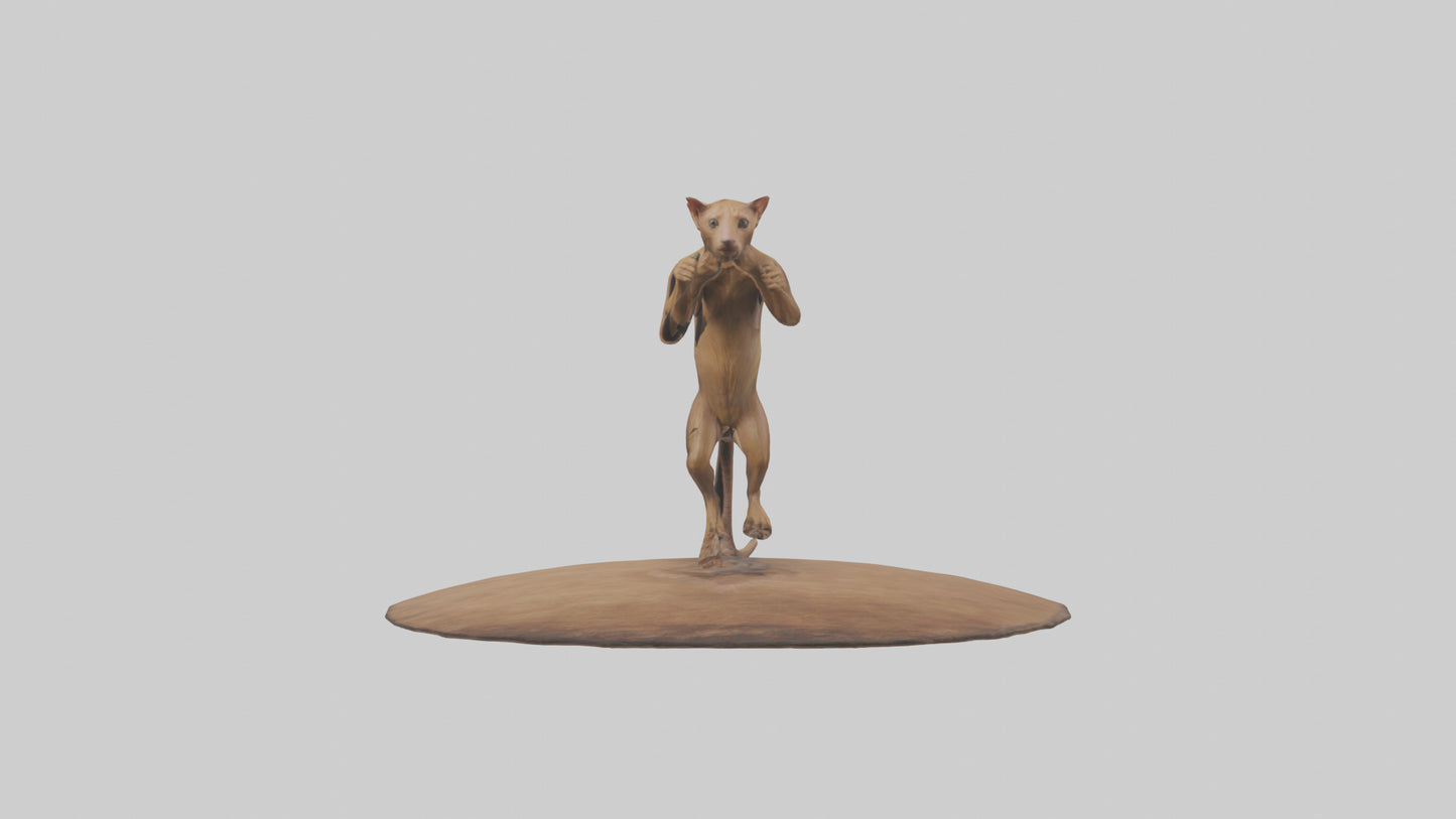 3D model Fossa climbing tree model VR / AR / low-poly