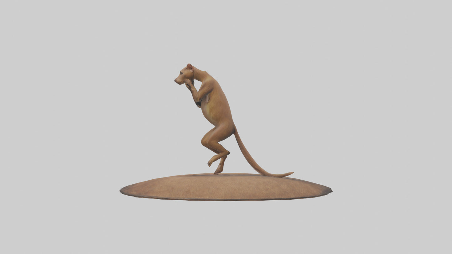 3D model Fossa climbing tree model VR / AR / low-poly