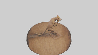 3D model Fossa climbing tree model VR / AR / low-poly