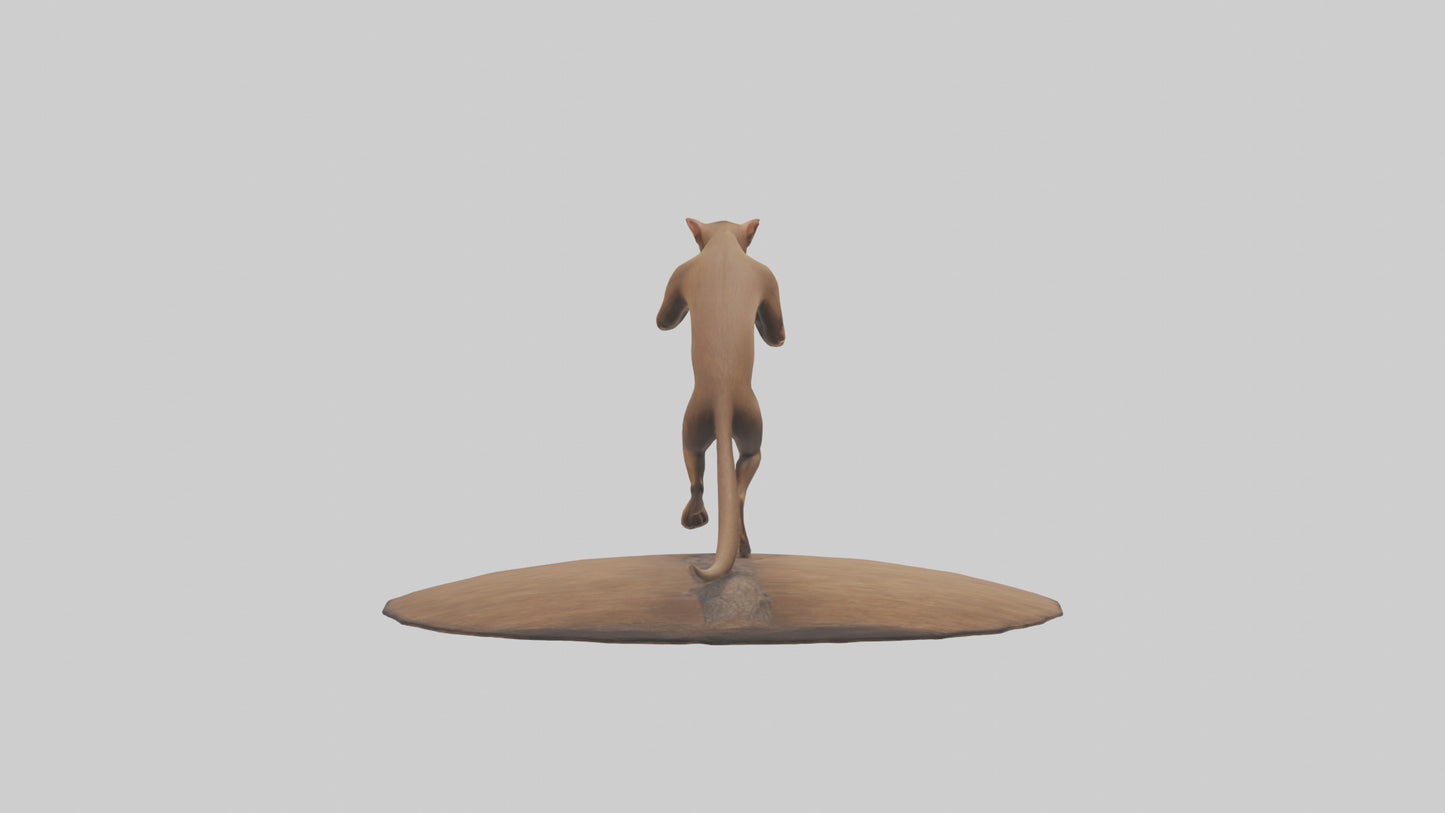 3D model Fossa climbing tree model VR / AR / low-poly
