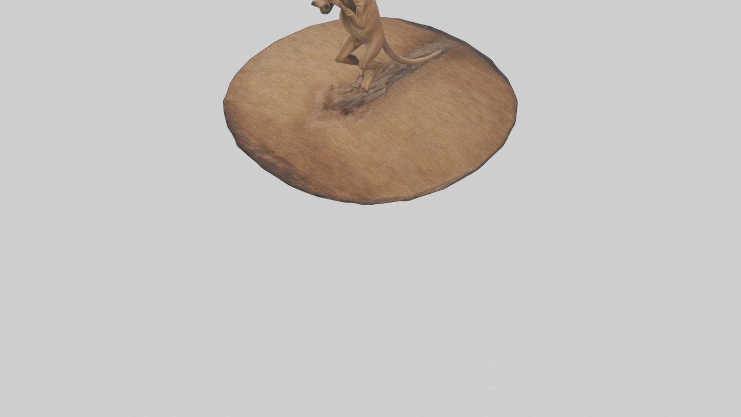 3D model Fossa climbing tree model VR / AR / low-poly