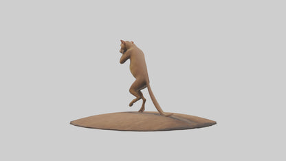 3D model Fossa climbing tree model VR / AR / low-poly