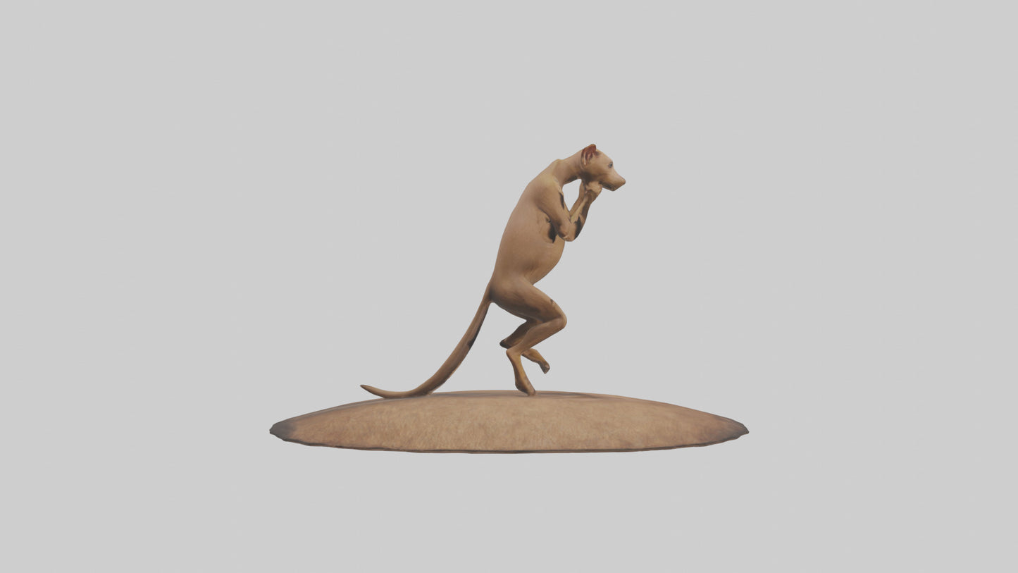 3D model Fossa climbing tree model VR / AR / low-poly