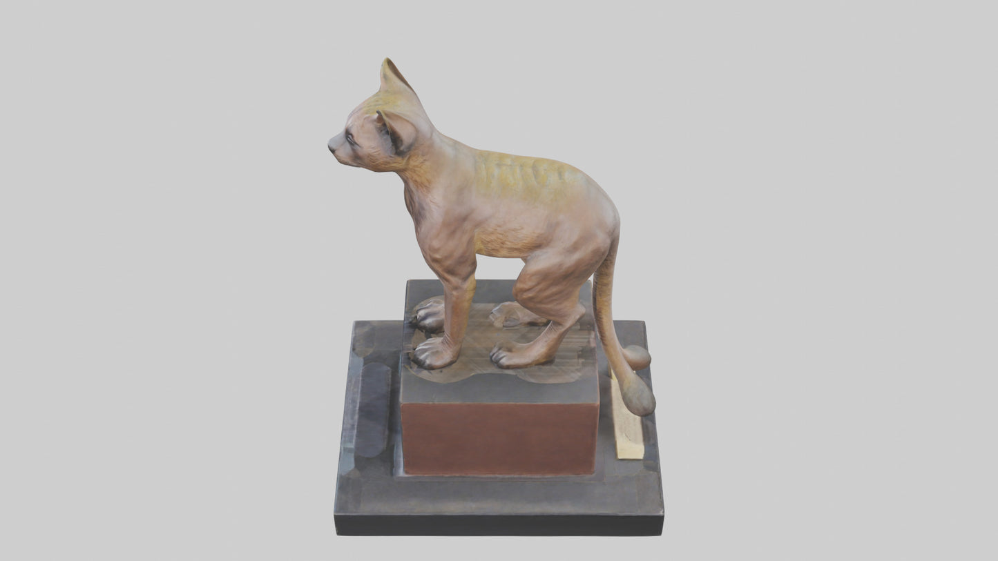 Fossa statue model 3D model