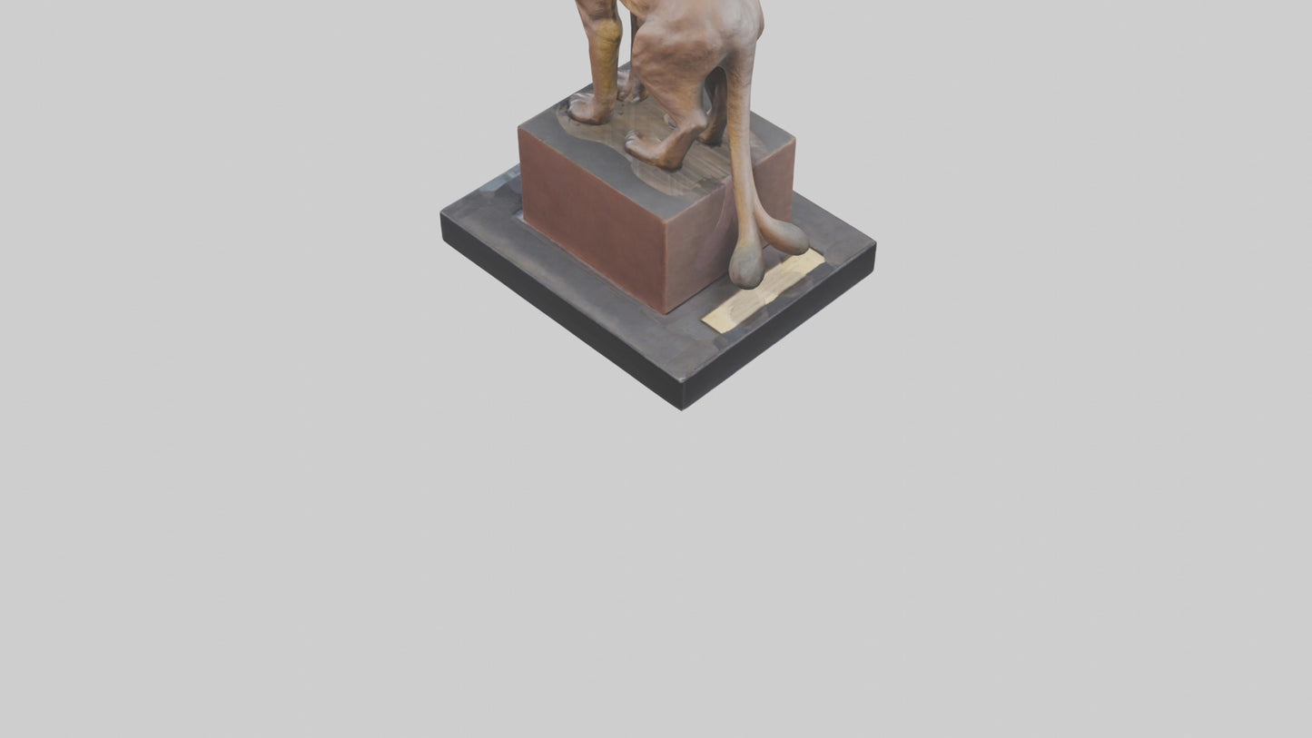 Fossa statue model 3D model