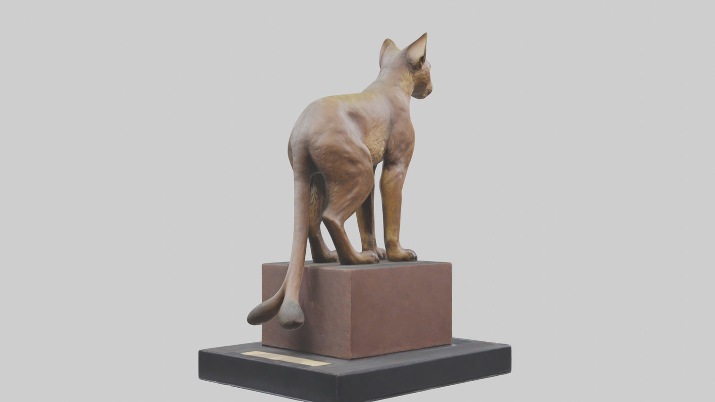 Fossa statue model 3D model