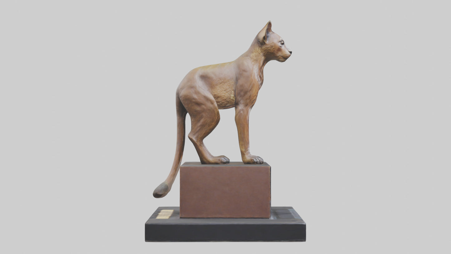 Fossa statue model 3D model