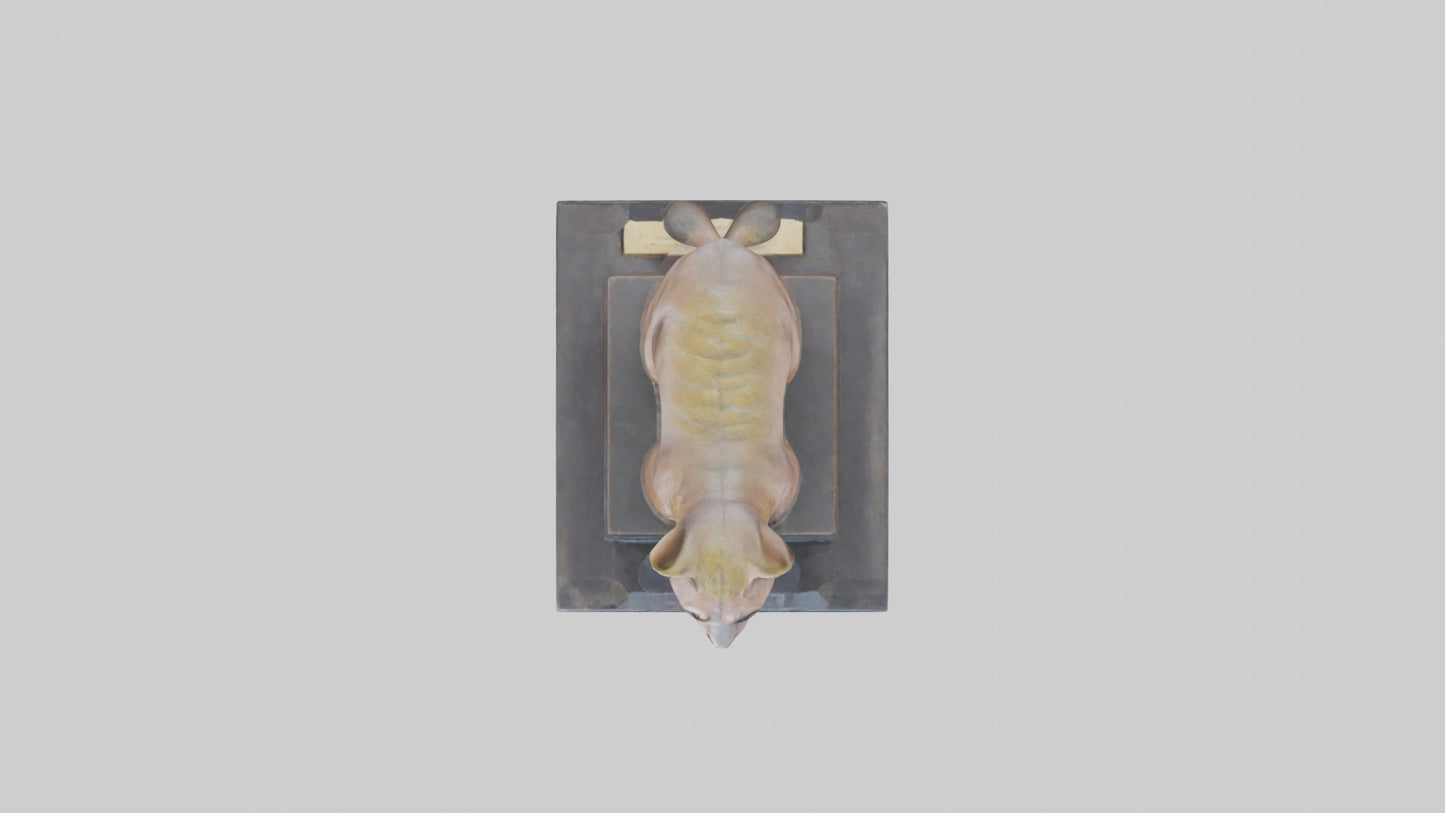 Fossa statue model 3D model