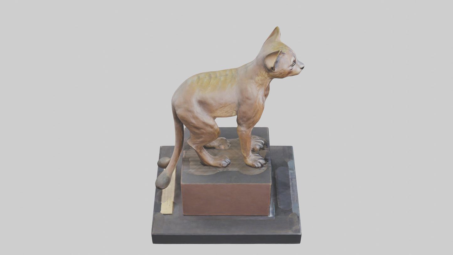 Fossa statue model 3D model