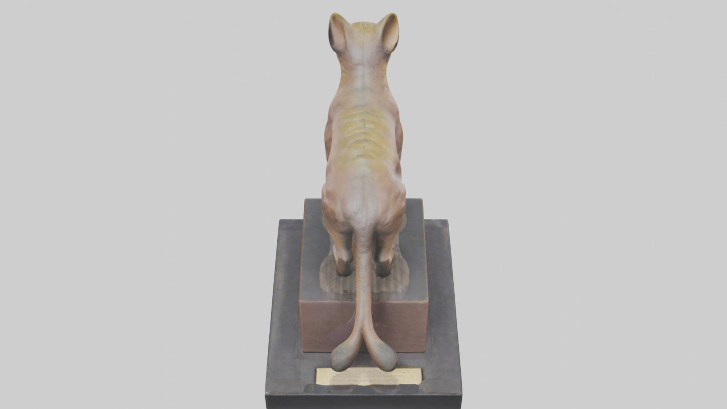 Fossa statue model 3D model