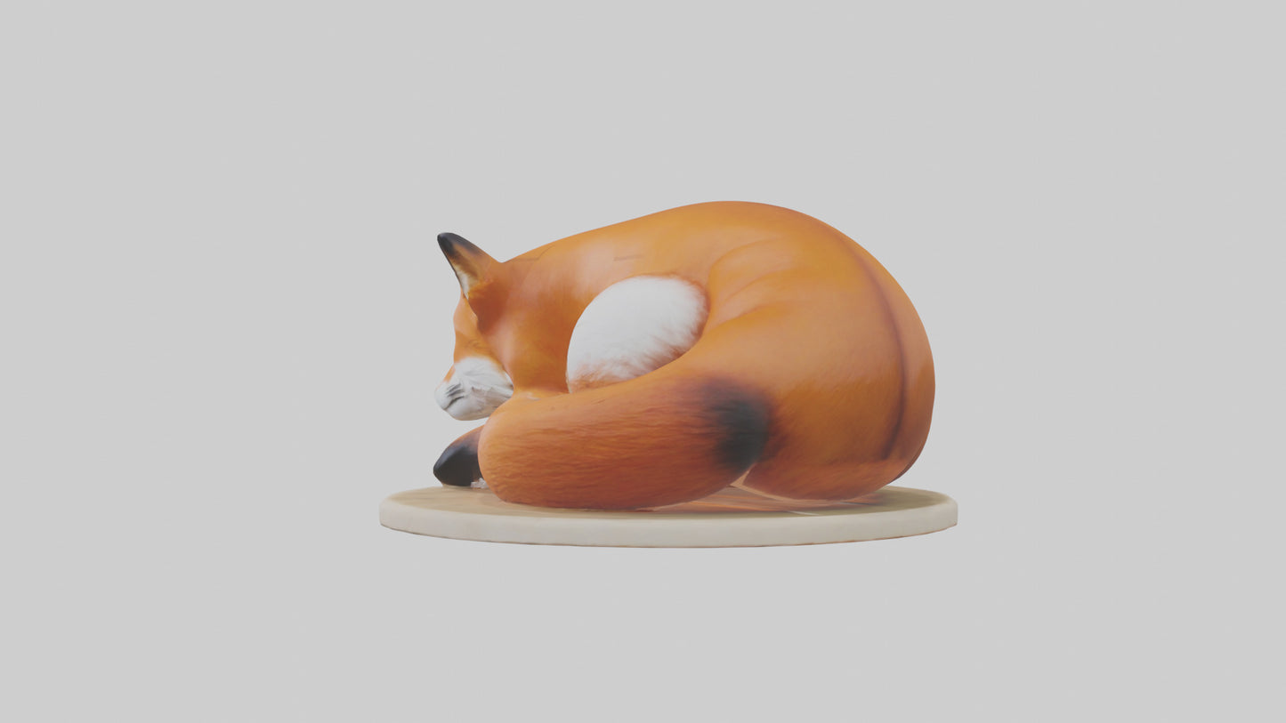 Fox sleeping model 3D model