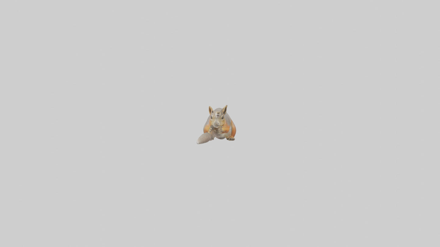 Fox Squirrel perched model VR / AR / low-poly