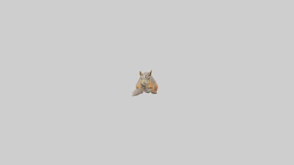 Fox Squirrel perched model VR / AR / low-poly