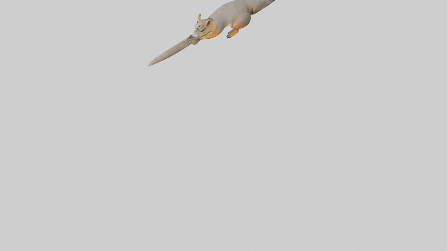 Fox Squirrel perched model VR / AR / low-poly