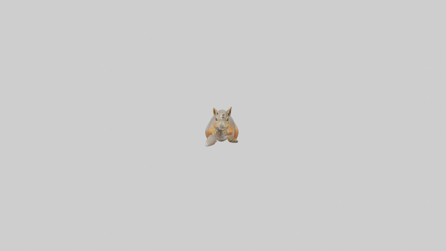 Fox Squirrel perched model VR / AR / low-poly