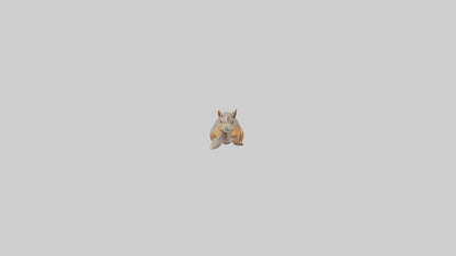 Fox Squirrel perched model VR / AR / low-poly
