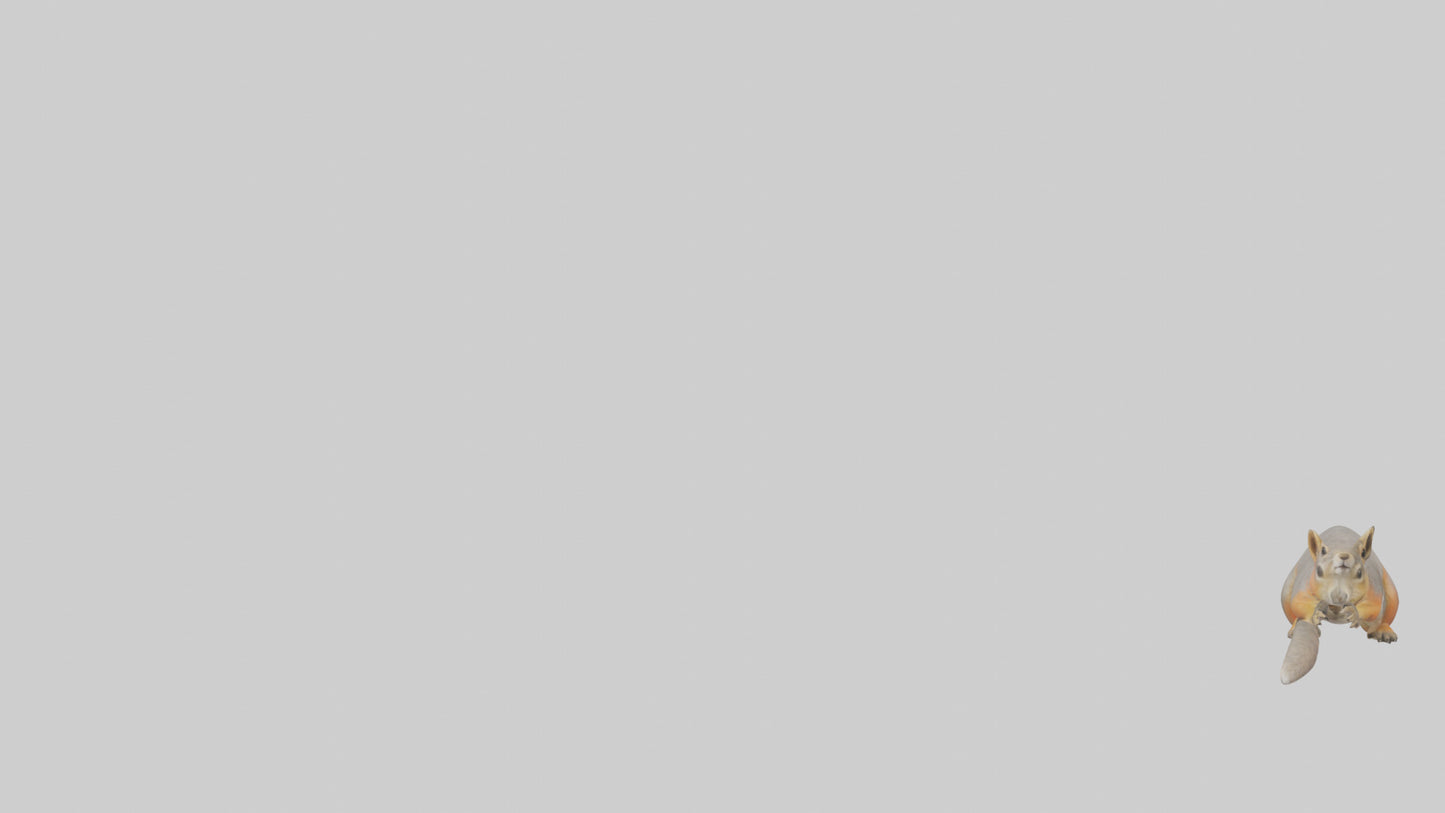 Fox Squirrel perched model VR / AR / low-poly