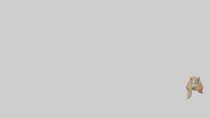 Fox Squirrel perched model VR / AR / low-poly