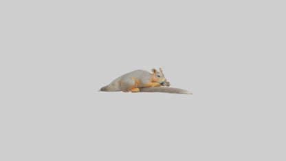 Fox Squirrel perched model VR / AR / low-poly