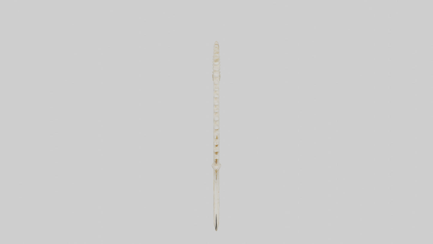 Fox Tail Skeleton model 3D model