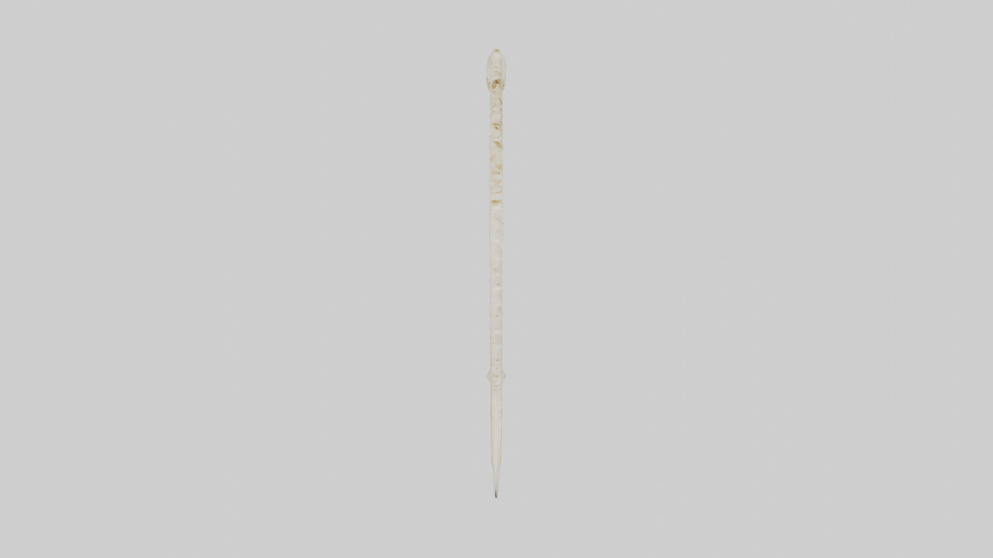 Fox Tail Skeleton model 3D model