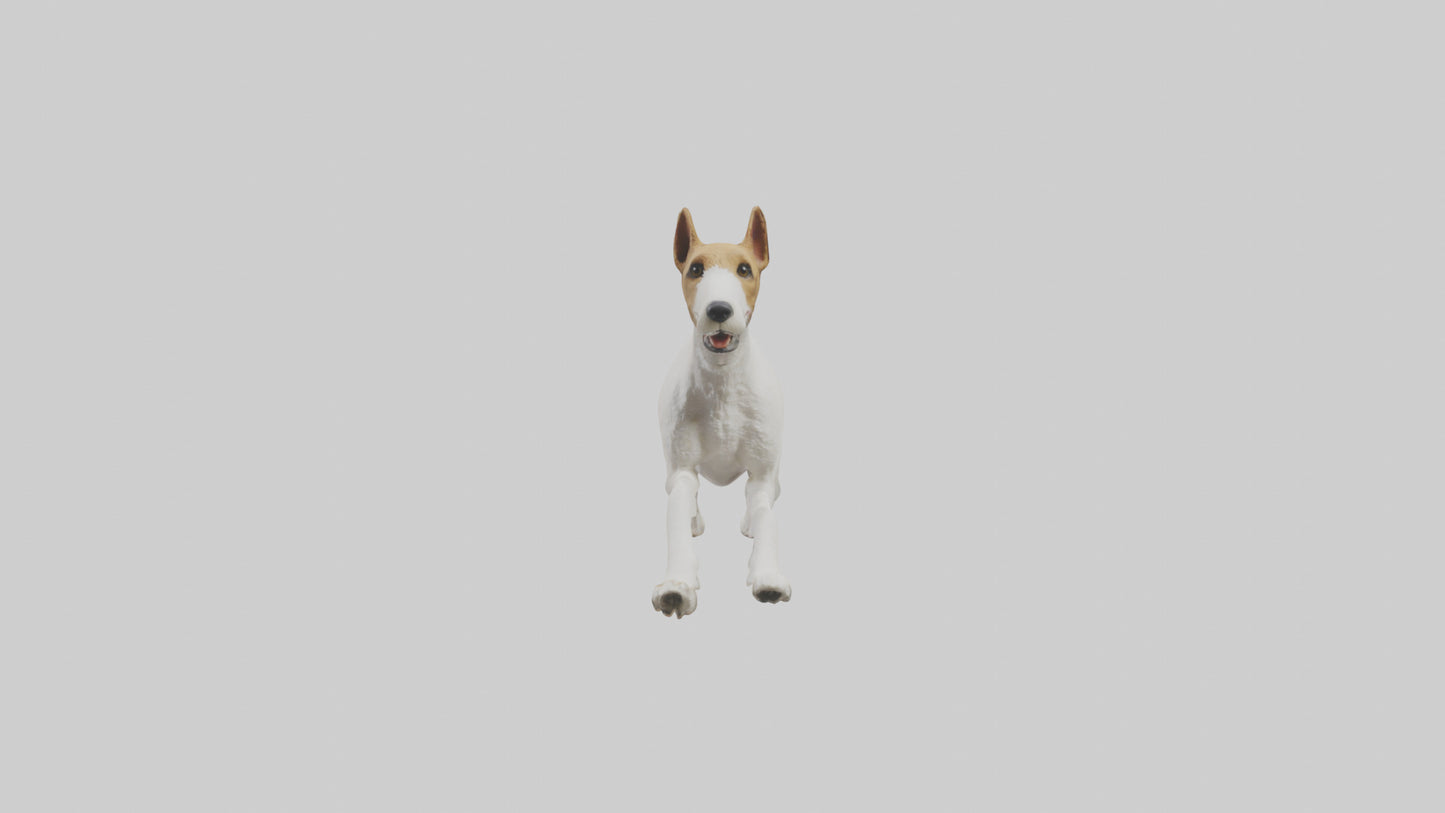 Fox Terrier running model 3D model