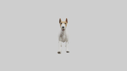 Fox Terrier running model 3D model