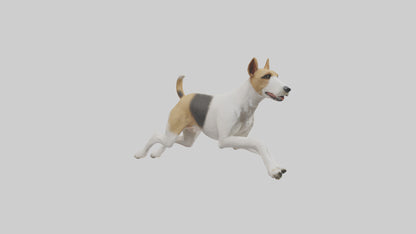 Fox Terrier running model 3D model