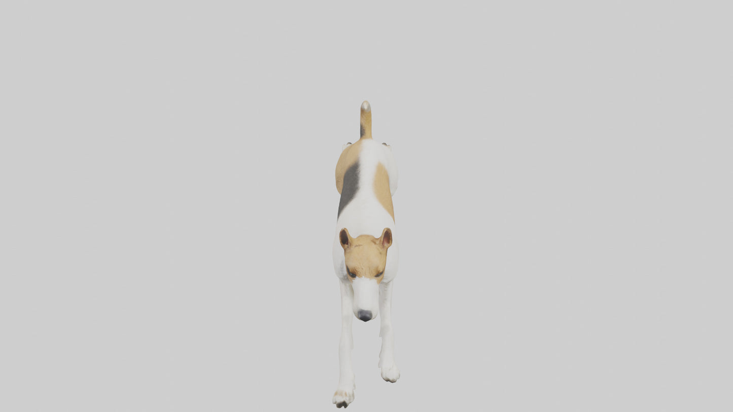 Fox Terrier running model 3D model