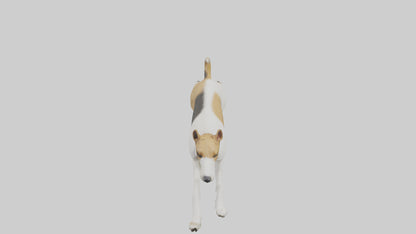 Fox Terrier running model 3D model