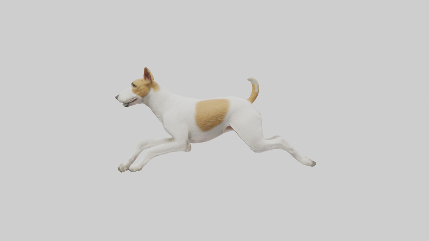 Fox Terrier running model 3D model