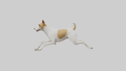 Fox Terrier running model 3D model