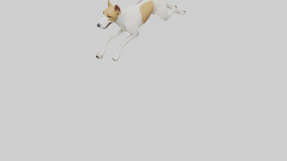 Fox Terrier running model 3D model
