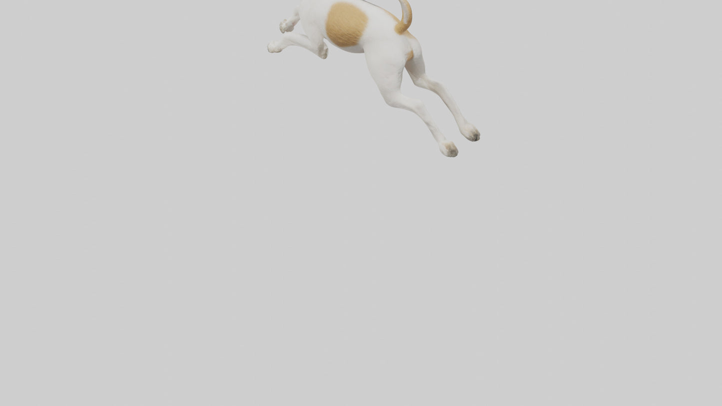 Fox Terrier running model 3D model