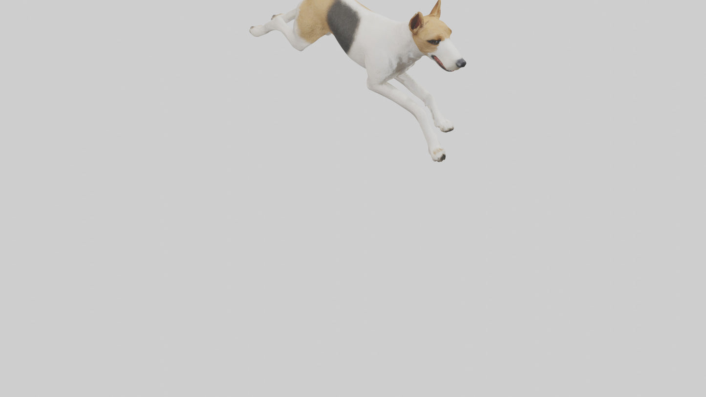 Fox Terrier running model 3D model