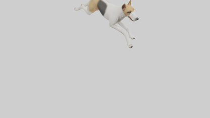 Fox Terrier running model 3D model