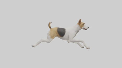 Fox Terrier running model 3D model