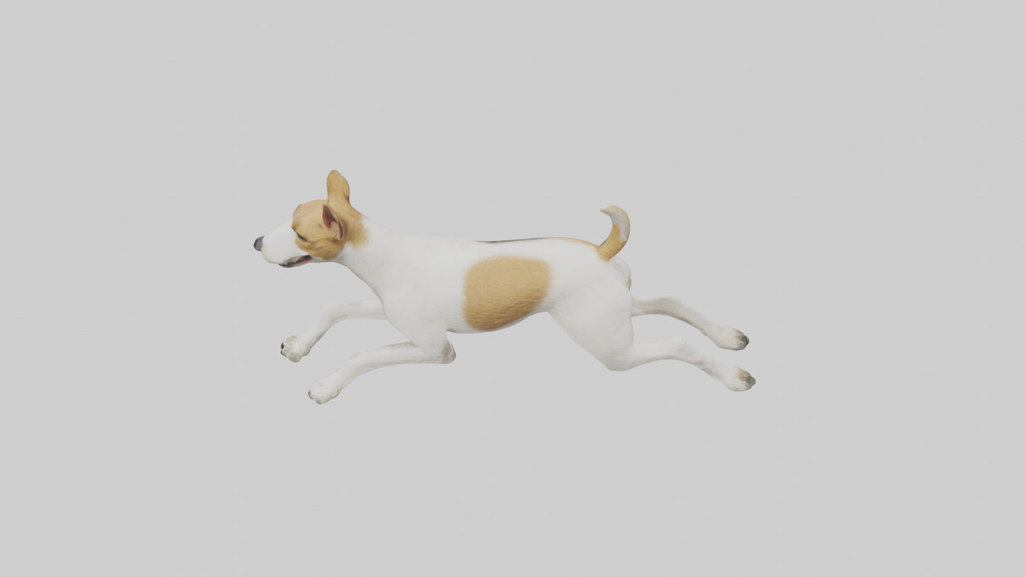 Fox Terrier running model 3D model